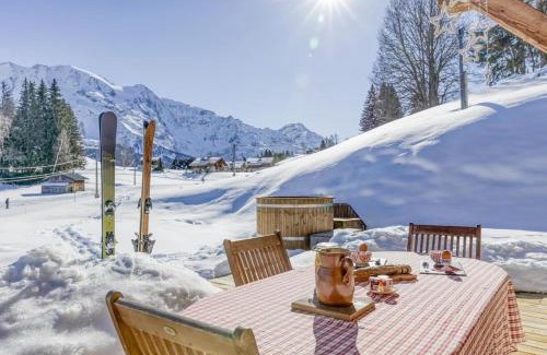 Saint-Nicolas-de-Veroce Ski Chalet | Chalet le Plane
