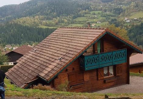Le Tholy Ski Chalet | Chalet le Grizzly