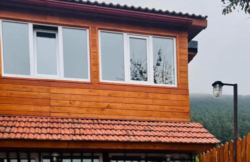 Lermontov House | Chalet Lermo