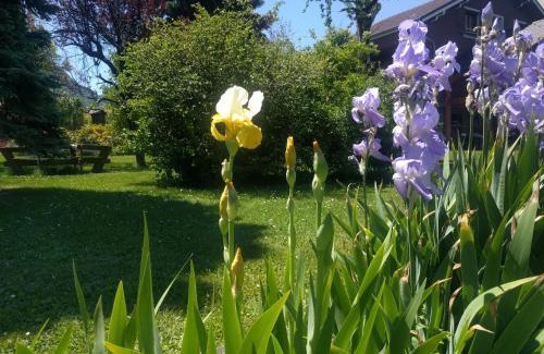 Saint-Jean-de-Maurienne Bed & Breakfast | Chalet Les Cols - Chambres avec terrasse & jardin - proche de la nouvelle gare