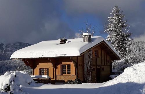 Saint-Jean-de-Sixt Ski Chalet | Chalet les Marmottes