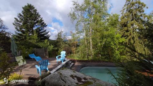 Le Tholy House | Chalet luxe 12 personnes SPA SAUNA VOSGES-GERARDMER
