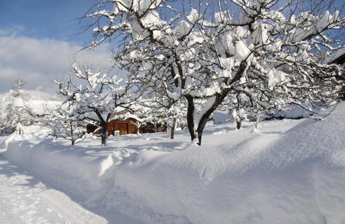 Blindau Apartment | Chalet Menkenhof