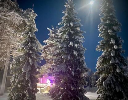 Naamijoki Villa | Chalet Mummola