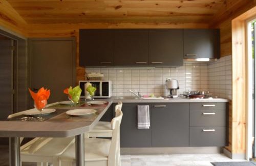 Vieuxville Ski Chalet | Chalet near Durbuy with Private Garden