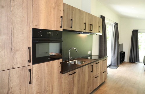 Blesdijke House | Chalet near Weerribben National Park