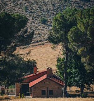 Zaouia Ben Smine Ski Chalet | Chalet nina