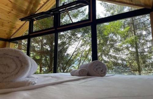 Adjara Ski Chalet | Chalet Nune