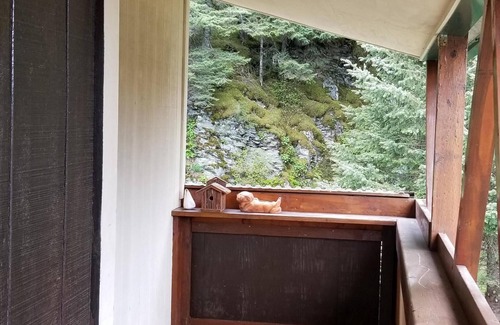 Seward Condo | Chalet of Seward, Ste B: Ocean & Mountain View (980 SF)