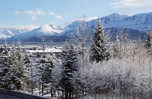 Seward Condo | Chalet of Seward suites D - Studio