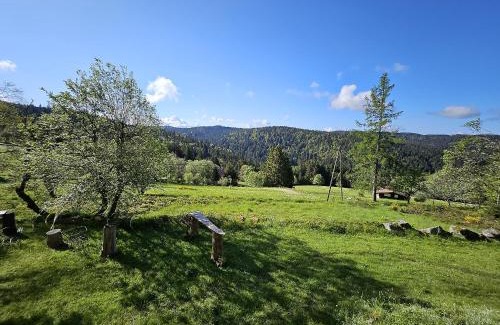 Gerardmer Bed & Breakfast | Chalet Perle des Hauts