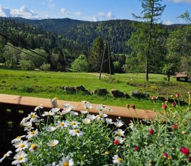 Gerardmer Bed & Breakfast | Chalet Perle des Hauts