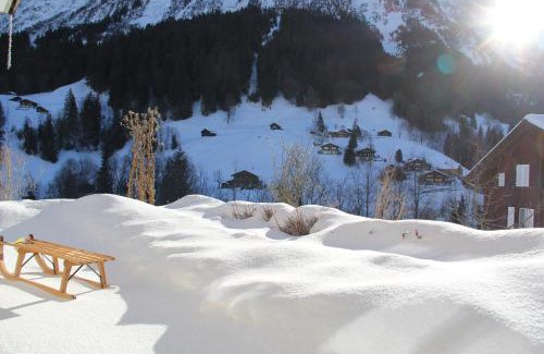 Grindelwald Apartment | Chalet Pfingsteggblick