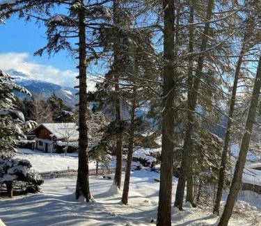 Montana Ski Chalet | Chalet Privé avec vue imprenable sur les alpes