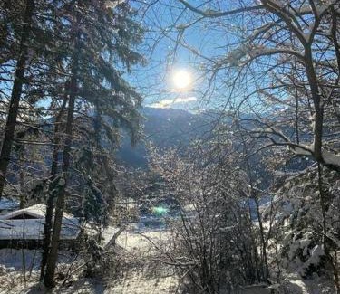 Montana Ski Chalet | Chalet Privé avec vue imprenable sur les alpes