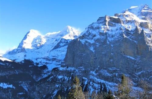 Murren Apartment | Chalet Raufthubel