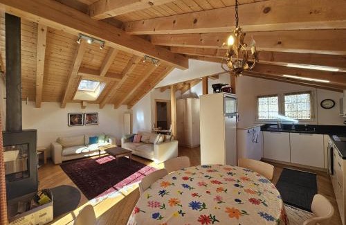 Saas-Fee Ski Chalet | Chalet Renu