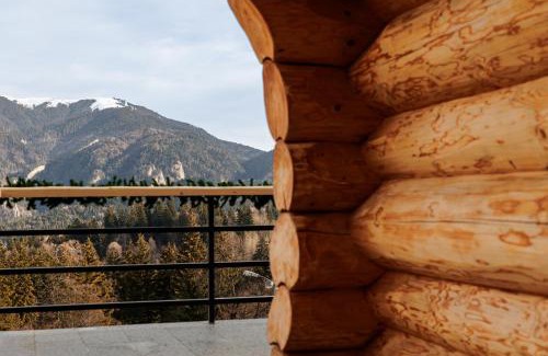 Predeal Ski Chalet | Chalet Rozmarin Predeal