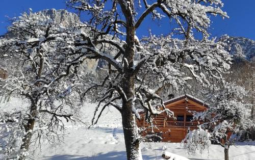 Le Petit-Bornand-les-Glieres Ski Chalet | Chalet savoyard écoresponsable, quasiment neuf 8 pers