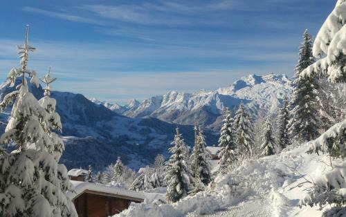 Manigod Ski Chalet | CHALET SPA BELLE VUE 500 m des pistes