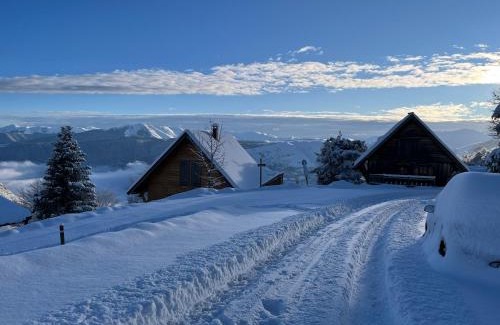 Saint-Lary-Soulan Apartment | Chalet St Lary 4 pers 100mdespistes classé 4 étoiles