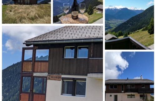 Riederalp Apartment | Chalet Talisman auf der Riederalp