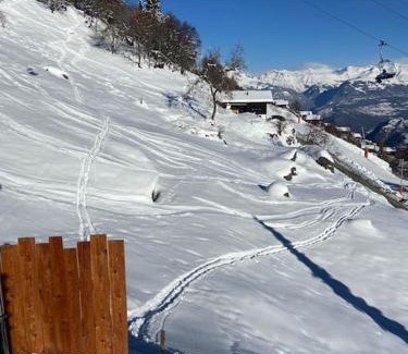 Vex Ski Chalet | Chalet , Thyon Les Collons, 4 Vallées