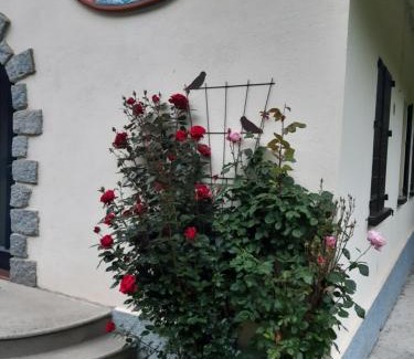 Bareges Ski Chalet | Chalet toutou 12/14 personnes