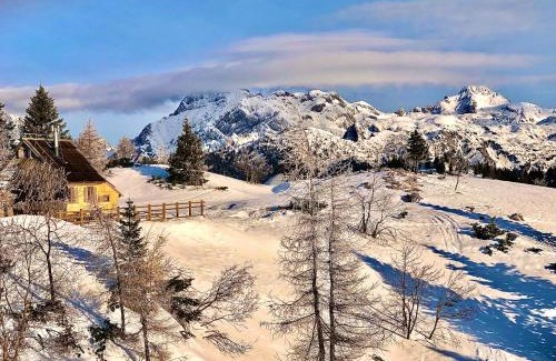 Kamnik House | Chalet Velika Planina - I FEEL ALPS