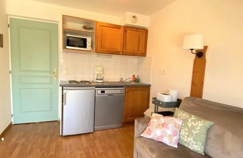 La Joue du Loup Ski Chalet | Chalet, view mountain, swimming pool, terrace, parking, tv, ski locker, 55m², La Joue du Loup