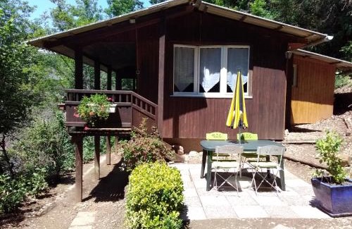 Pollieu Ski Chalet | Chalet Vintage