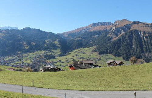 Lenk Apartment | Chalet Weissenberg