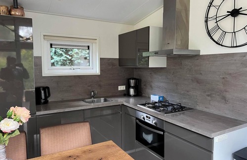 IJhorst House | Chalet with 3 bedrooms and a terrace