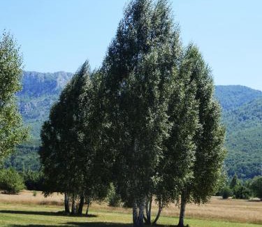 Savnik Other | Chalet with Barbecue in Brezna