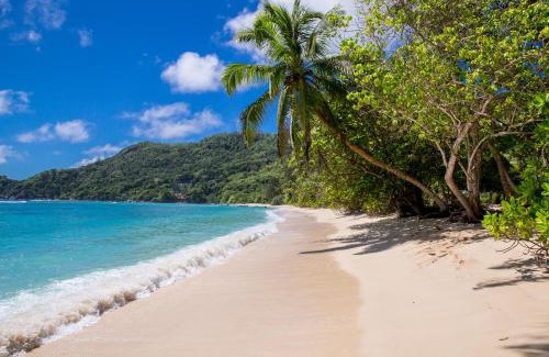 Anse Forbans Ski Chalet | Chalets d'Anse Forbans SelfCatering