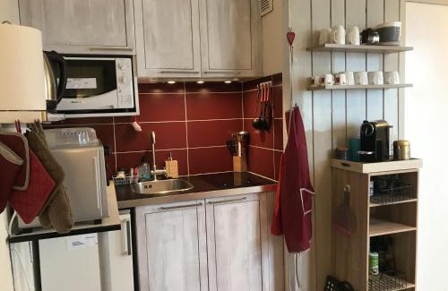Pra Loup Apartment | Chaleureux Appartement 4 Couchages