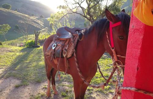 Natividade da Serra Other | Chalezinho da Serra