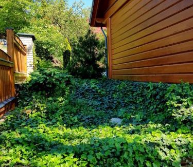 Blansko Cabin | Chalupa u Macochy