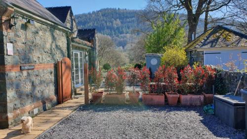 Betws-Y-Coed Apartment | Chambers Apartment @ The Old Magistrates
