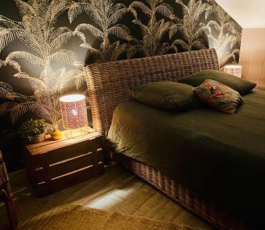 Centre Ville Bed & Breakfast | Chambre bohème chez Rachel