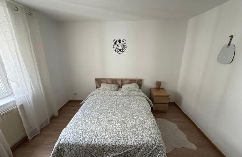 Longwy Apartment | Chambre chez l'habitant 2 - Longwy bas