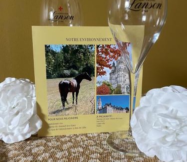 Saint-Amand-les-Eaux Bed & Breakfast | Chambre cosy
