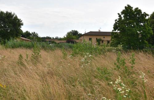 Saint-Nizier-le-Desert Bed & Breakfast | Chambre d'hôte L'Oiseau Blanc