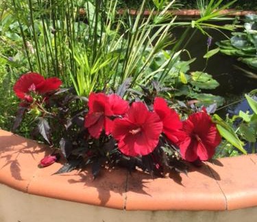Valence Bed & Breakfast | Chambre d'Hôte Au Fil du Canal 82