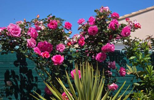 La Londe-les-Maures Bed & Breakfast | Chambre d'hôtes dans Villa Diane