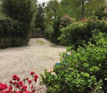 Taussat Bed & Breakfast | Chambre d'HÔTE Maison De L'amitié