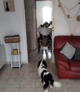 Lanvollon Bed & Breakfast | chambre d hôtes ALSABREIZH