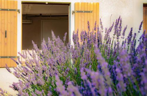 Puechoursi Bed & Breakfast | Chambre d'hôtes Lempery