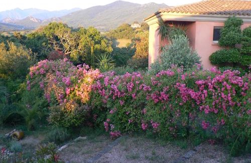 Cauro Bed & Breakfast | Chambre d'hote Casa Tozza