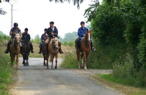 Saint-Hilaire-du-Harcouet Bed & Breakfast | Chambre d'hotes La Jaunais